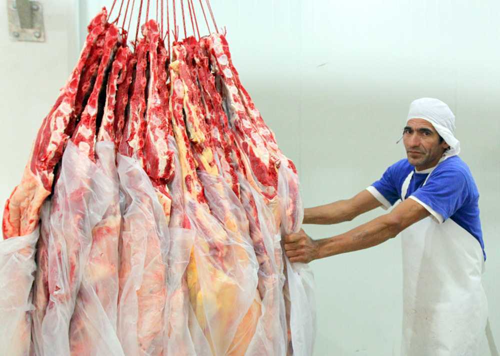Carne Frigorífico Ganadería