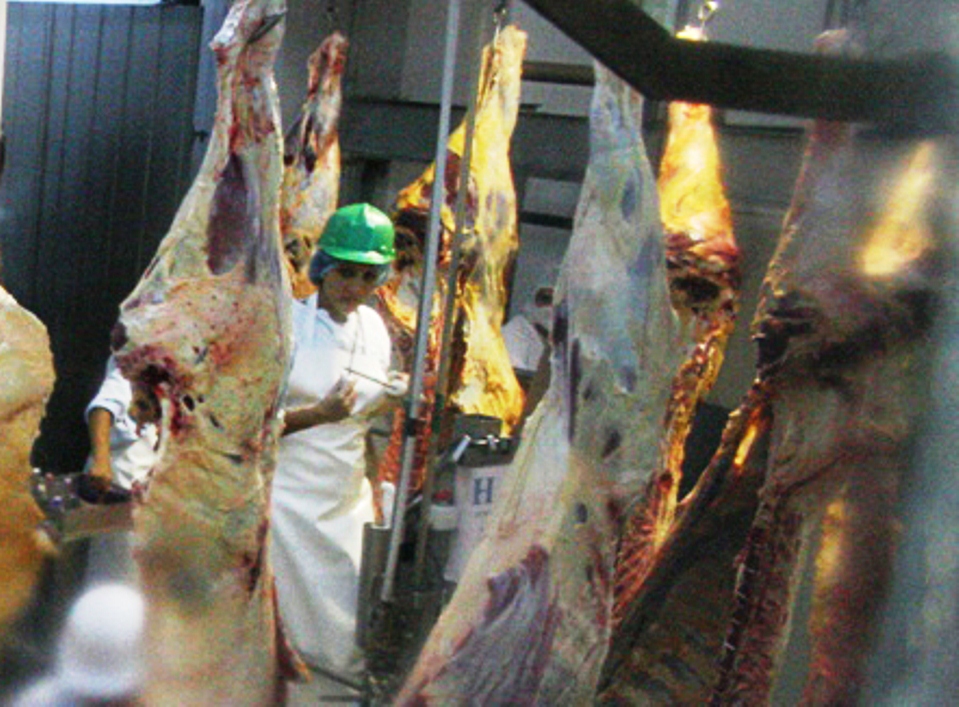carne-de-exportacion 1