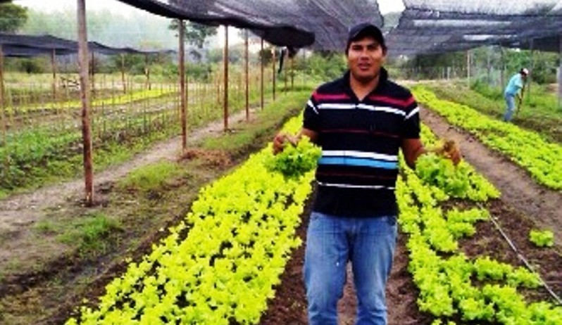 huerta comunitaria (2)
