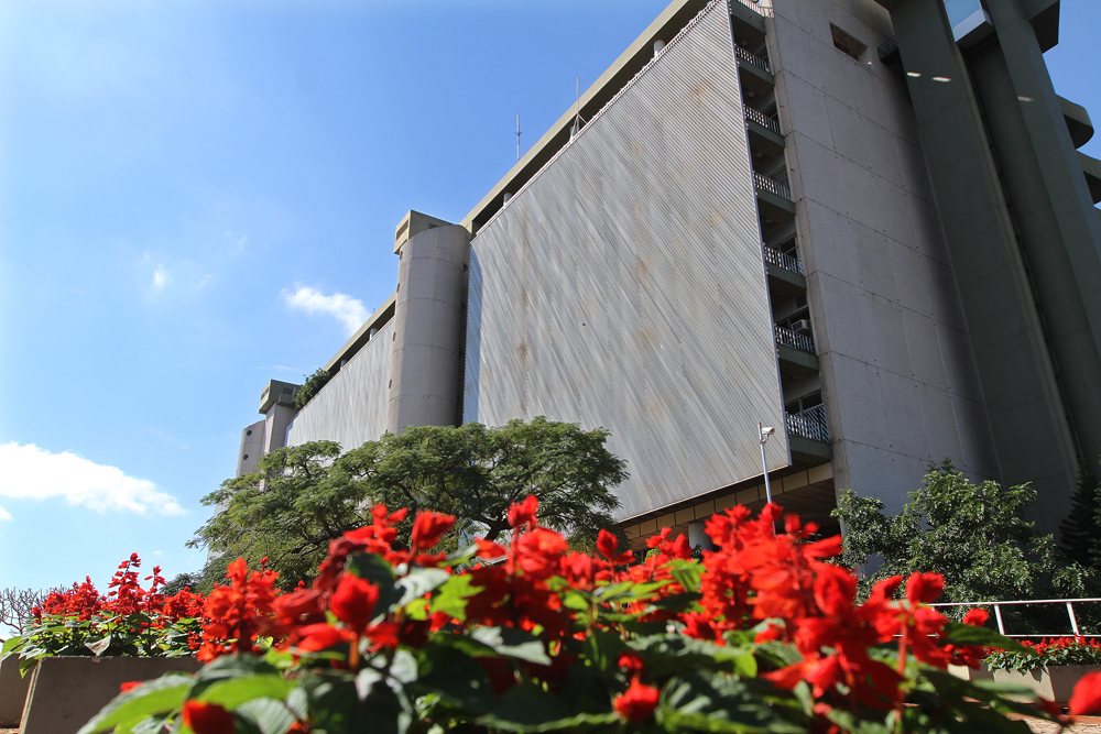 banco _central_BCP1 ip foto