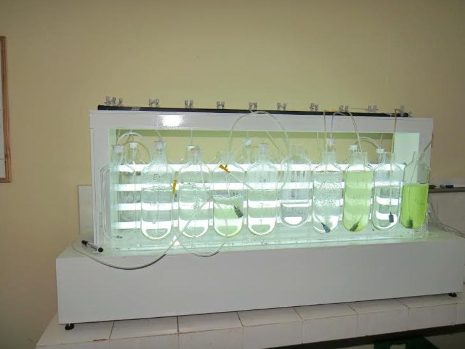 Laboratorio_Plancton_MAG