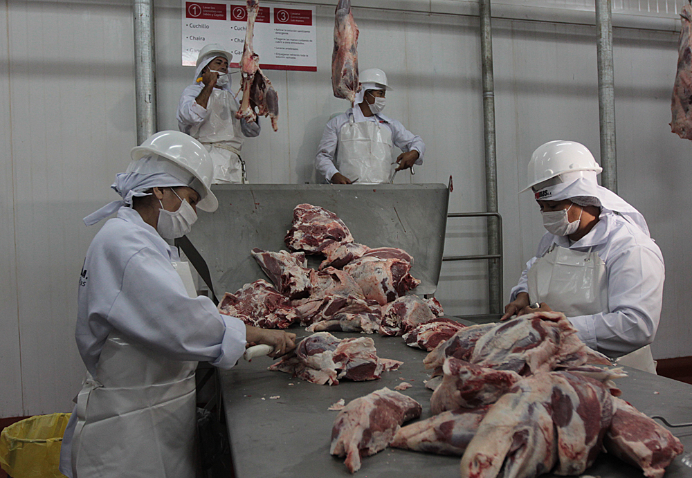 CARNE – EXOETACIÓN _ – Frigorifico Limpio – Frigomas – Horacio Cartes