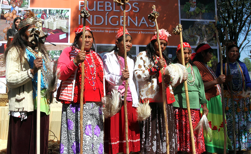 Indigenas