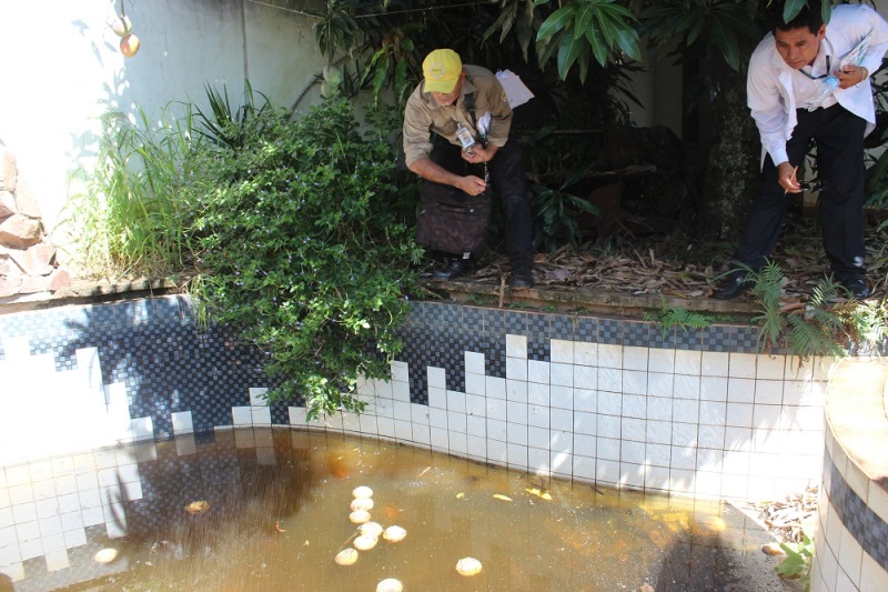 criaderos de mosquitos_dengue_