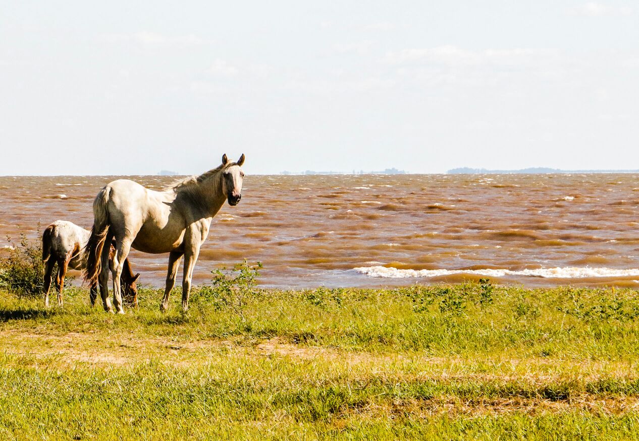 clima- jornada- campo- dia 1