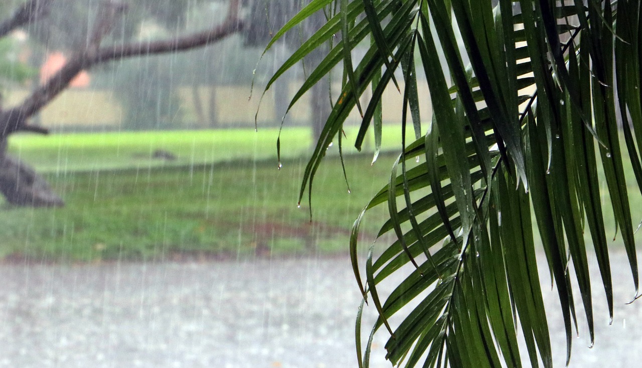 precipitaciones- lluvia- meteorologia 1
