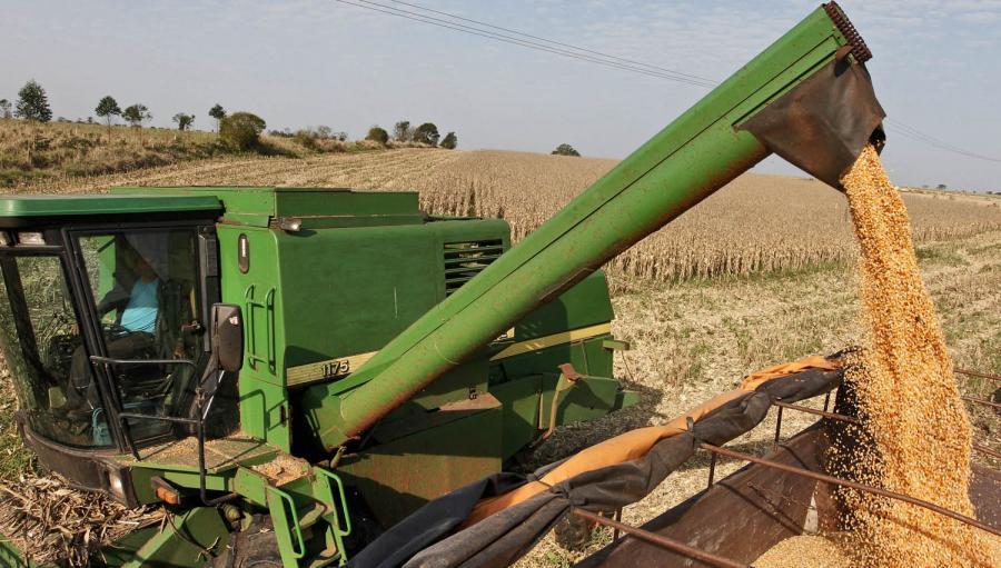 GRANO-_SOJA_AGRICULTURA
