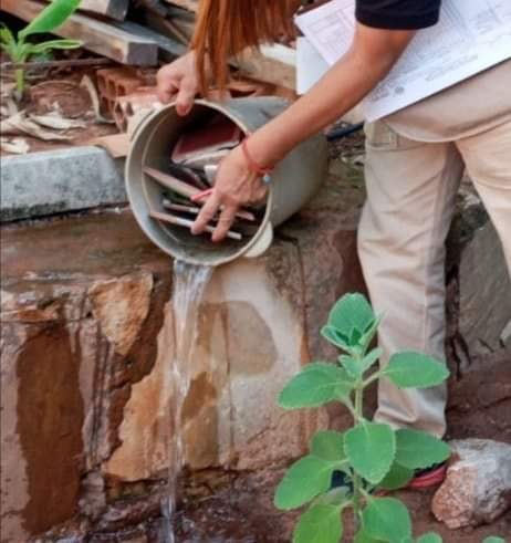 eliminar criaderos eliminación de criaderos de Aedes aegyti