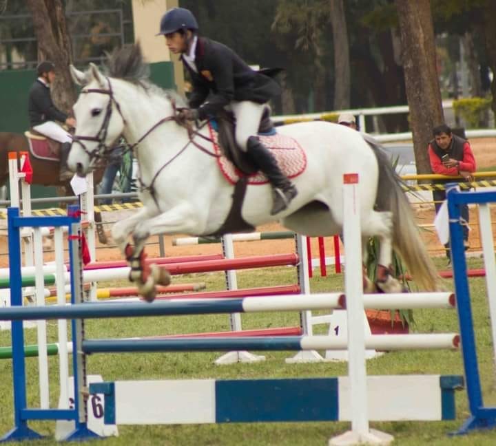 Hipismo