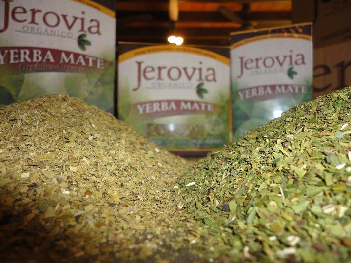 yerba mate jerovia