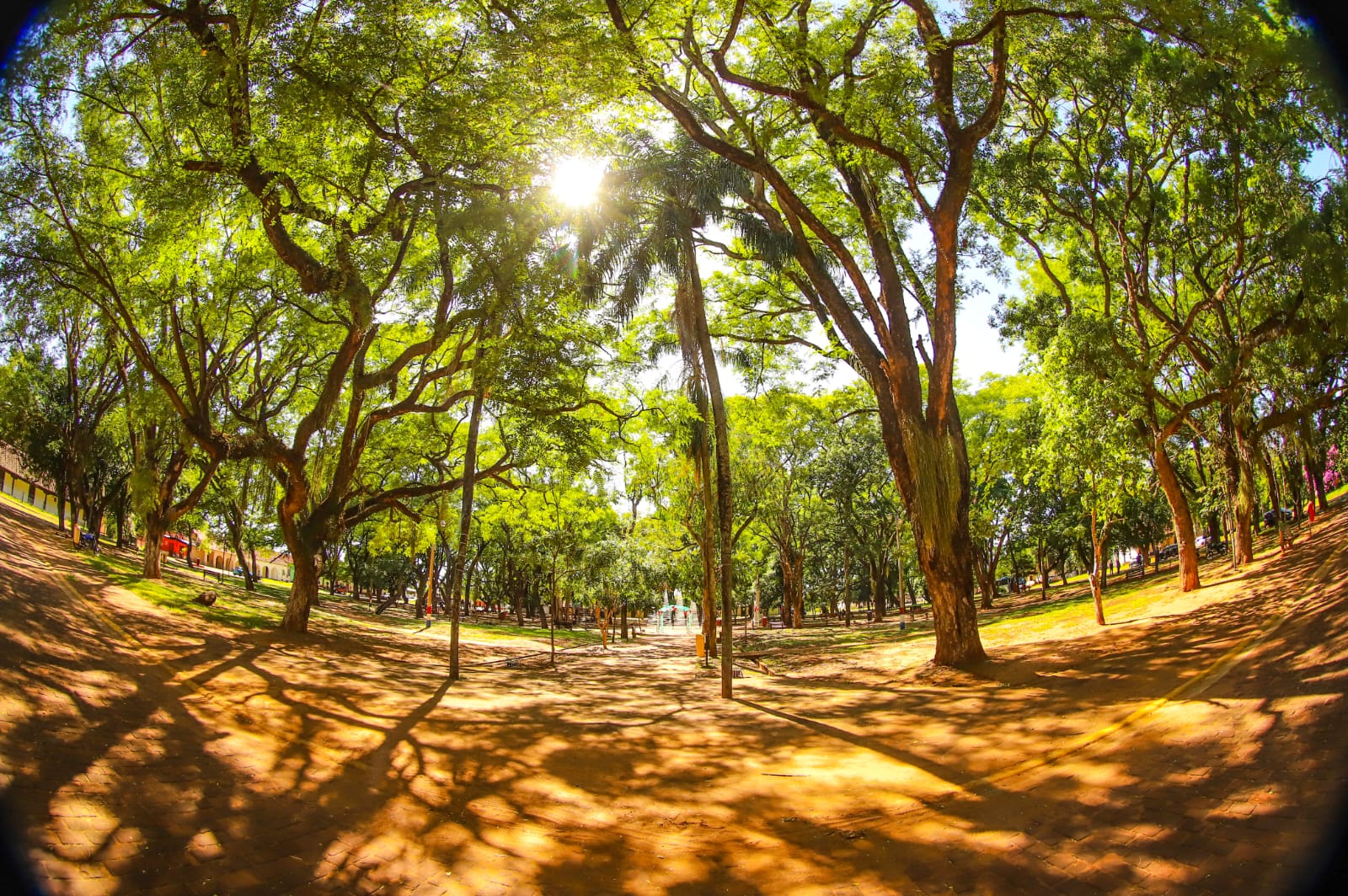 amanecer-clima-soleado-jornada