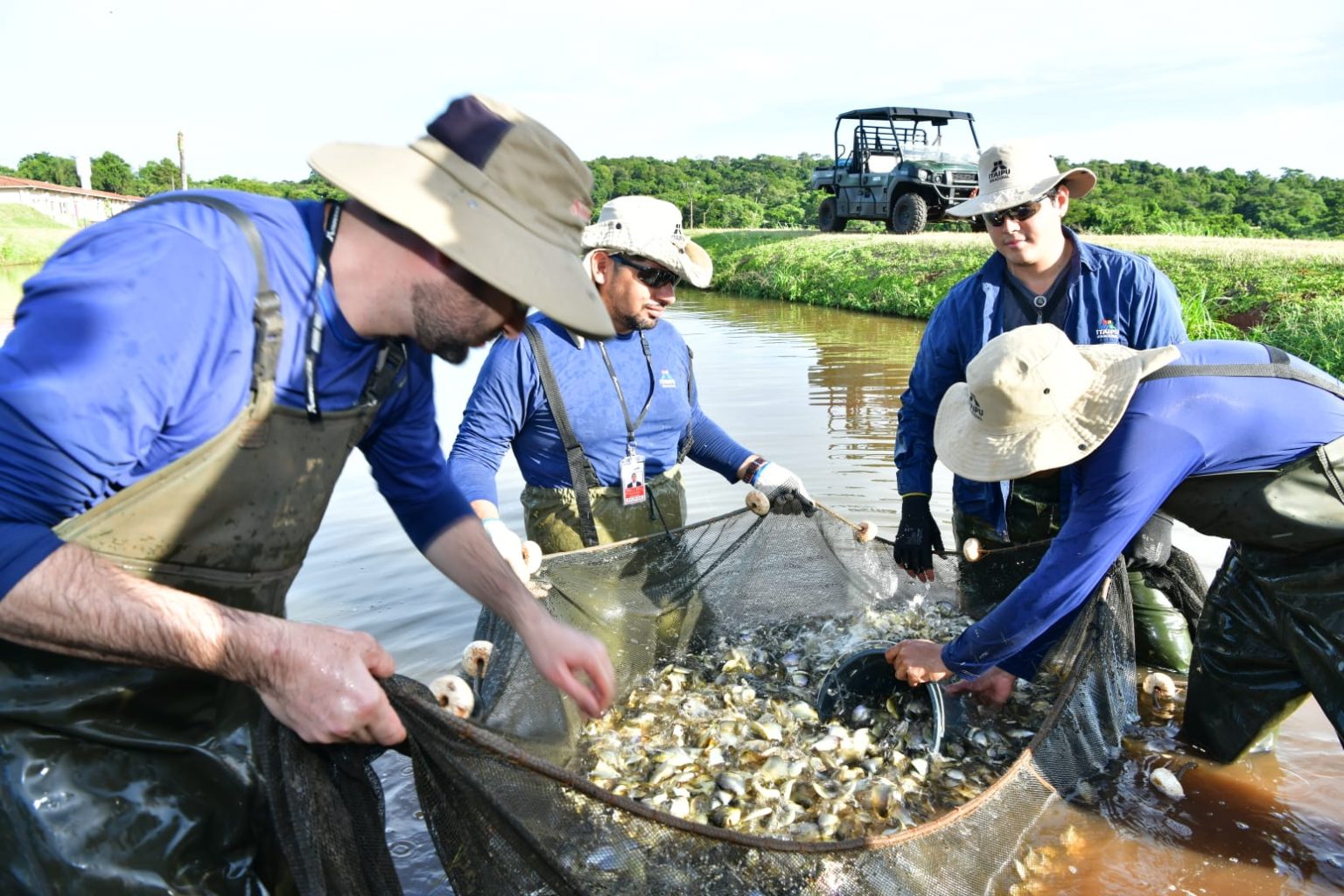 alevines-pacu-piscicultura-produccion-peces-itaipu-1536×1024