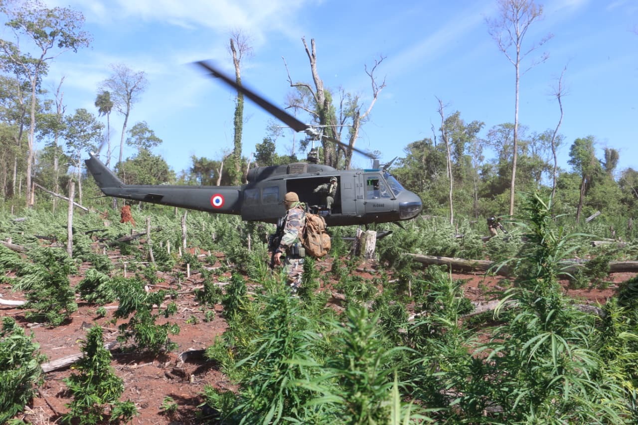 “Nueva Alianza 54”: golpe de USD 43,5 millones a estructuras criminales con 291 toneladas de cannabis anuladas