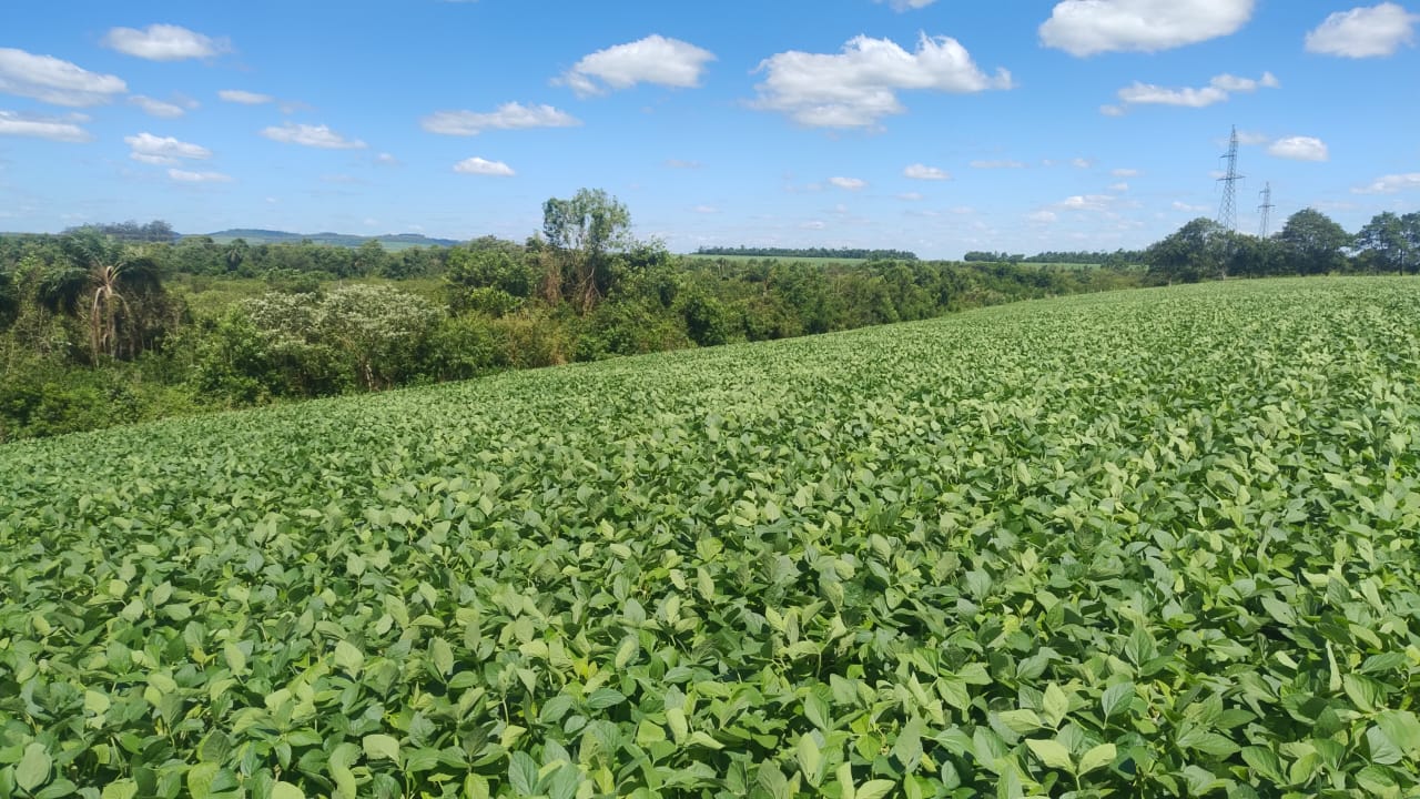Proyección de crecimiento se mantiene en 4,2% con ajustes al alza para agricultura