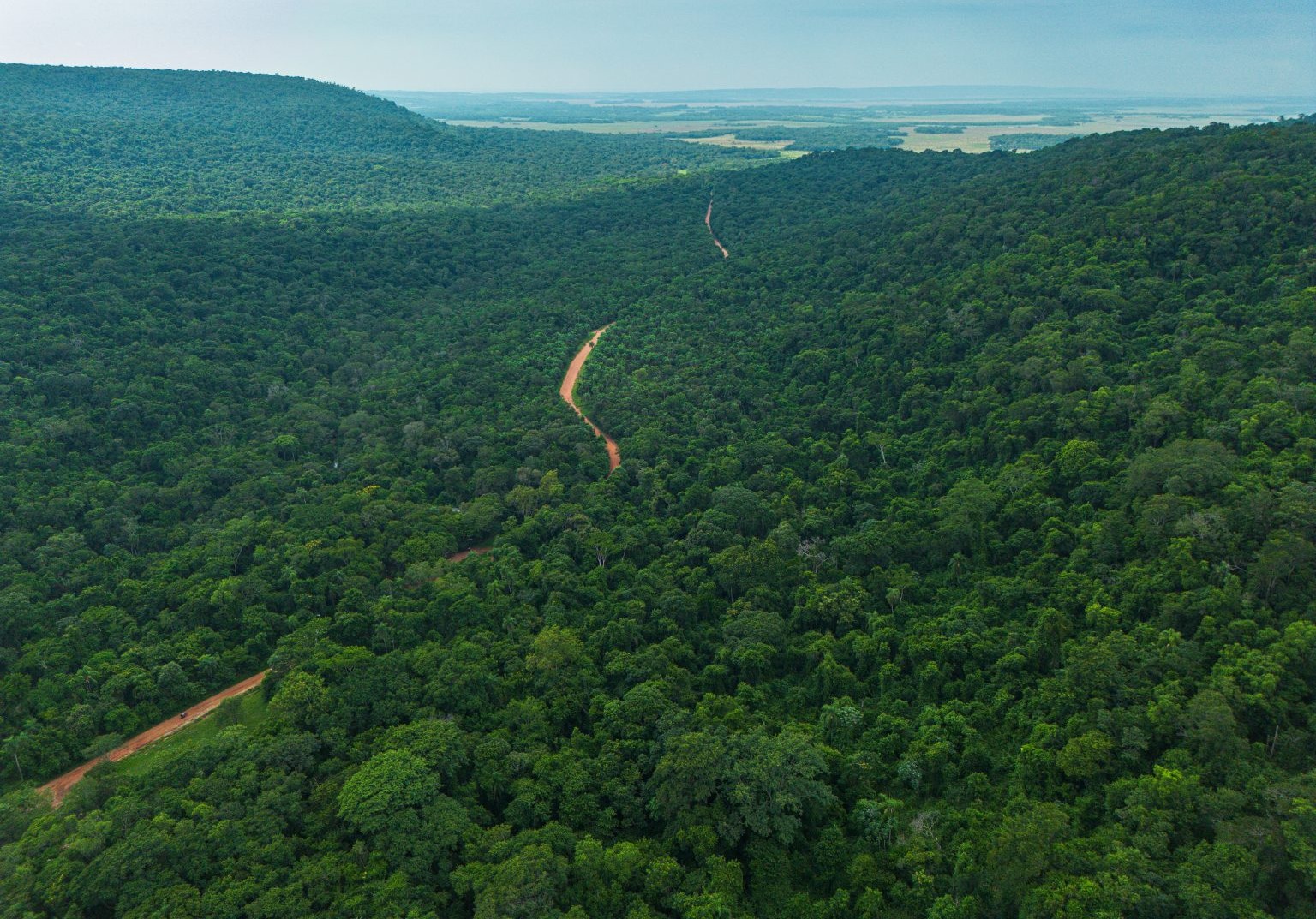 bosques paraguay