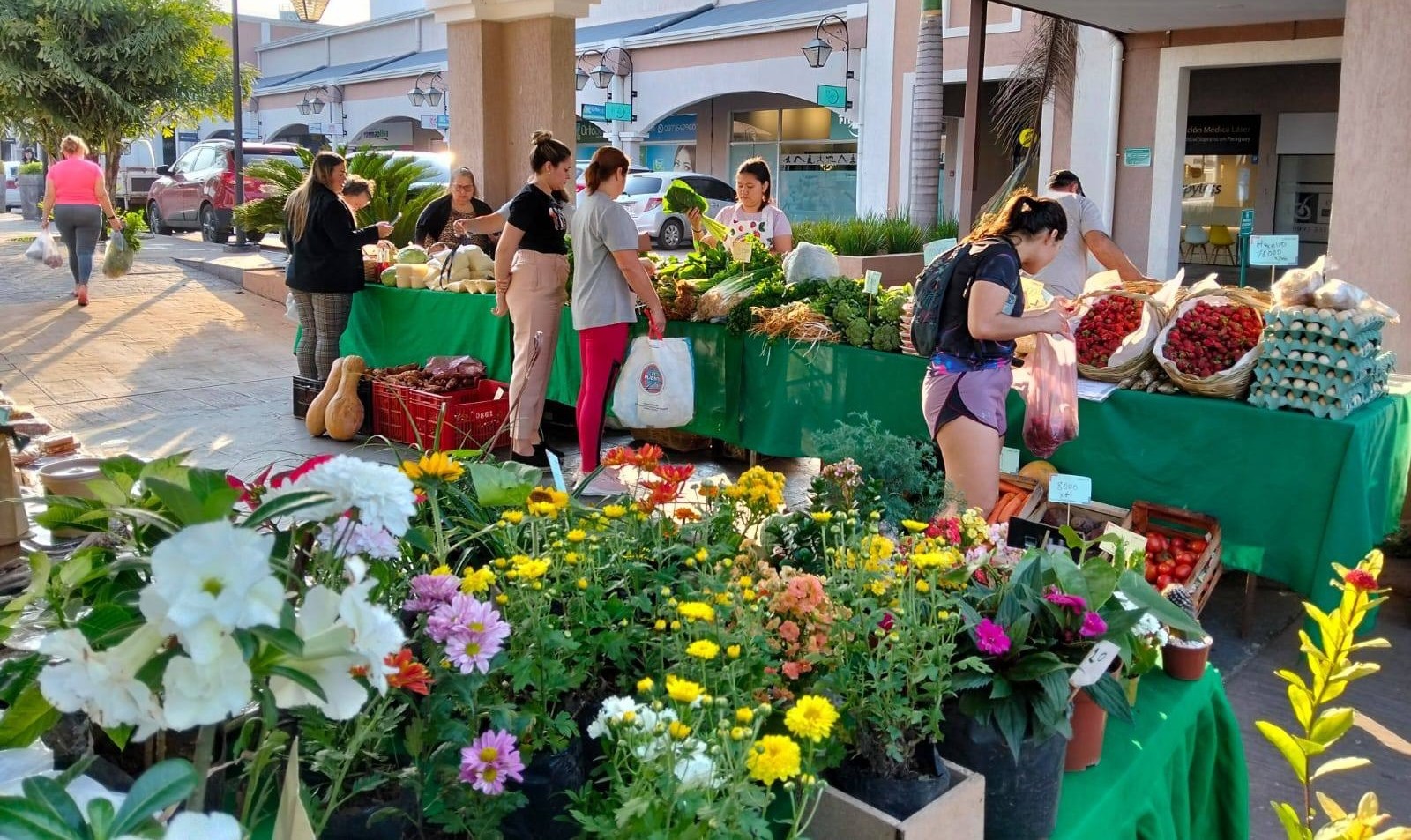 feria de la agricultura en el 1811