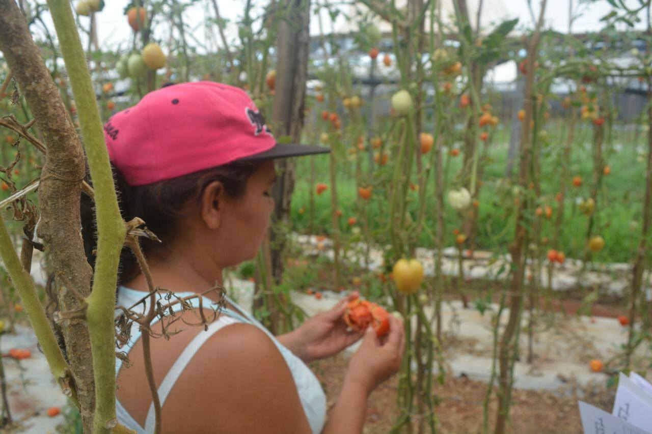 La FAO lanza curso virtual para fortalecer el empoderamiento de mujeres rurales