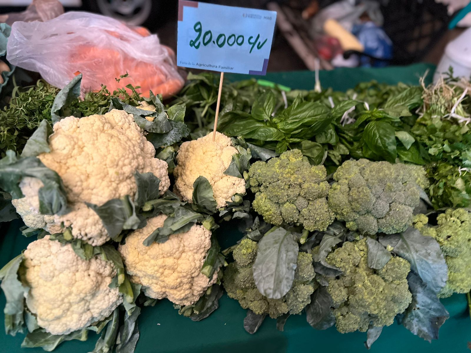 Familias de Central y Bajo Chaco ofertan productos del campo en Fernando de la Mora