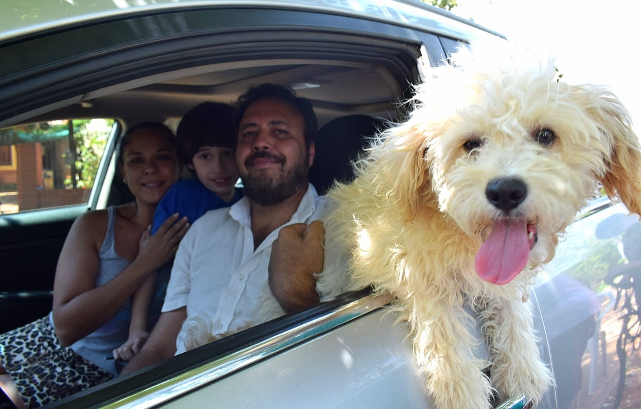 Impulsan campaña de vacunación antirrábica para mascotas en Coronel Oviedo
