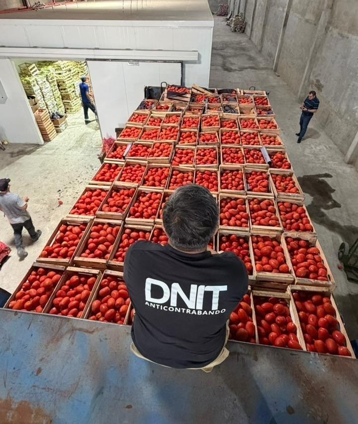 Incautaciones de contrabando rondan los USD 20 millones en el primer trimestre