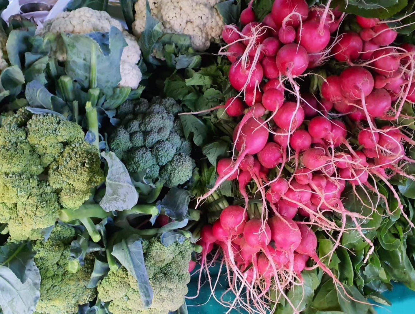 Familias ofertan productos del campo en ferias simultáneas en Lambaré y San Lorenzo