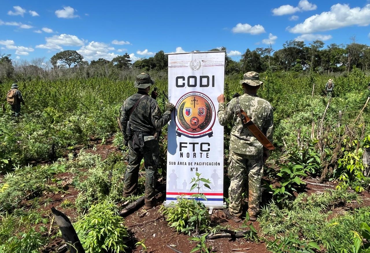 Millonario golpe al tráfico de drogas con incautación de 60.000 kilos de marihuana en Pedro Juan Caballero