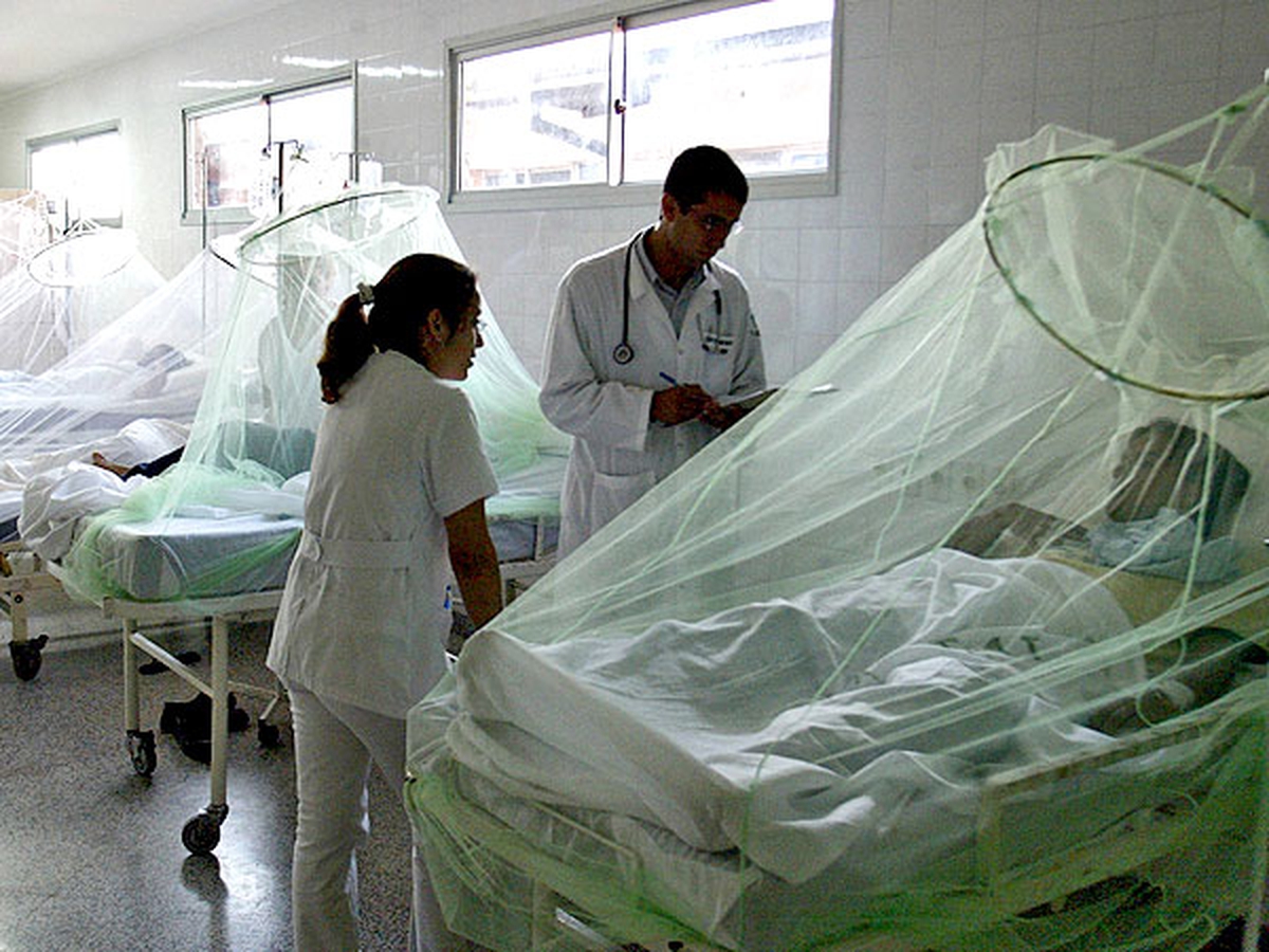 hospitalizacion por dengue