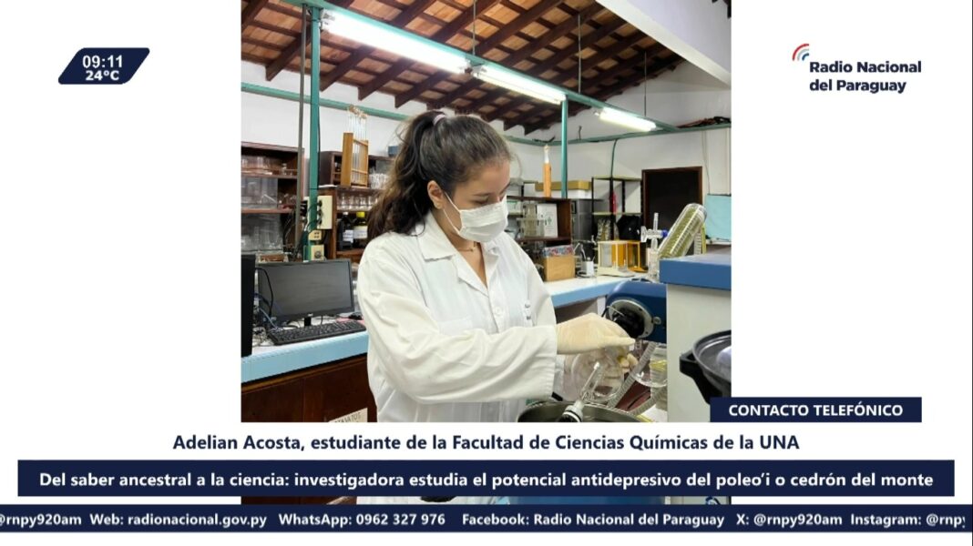 adelian-acosta-poleo-i-lmn-cedron-del-monte